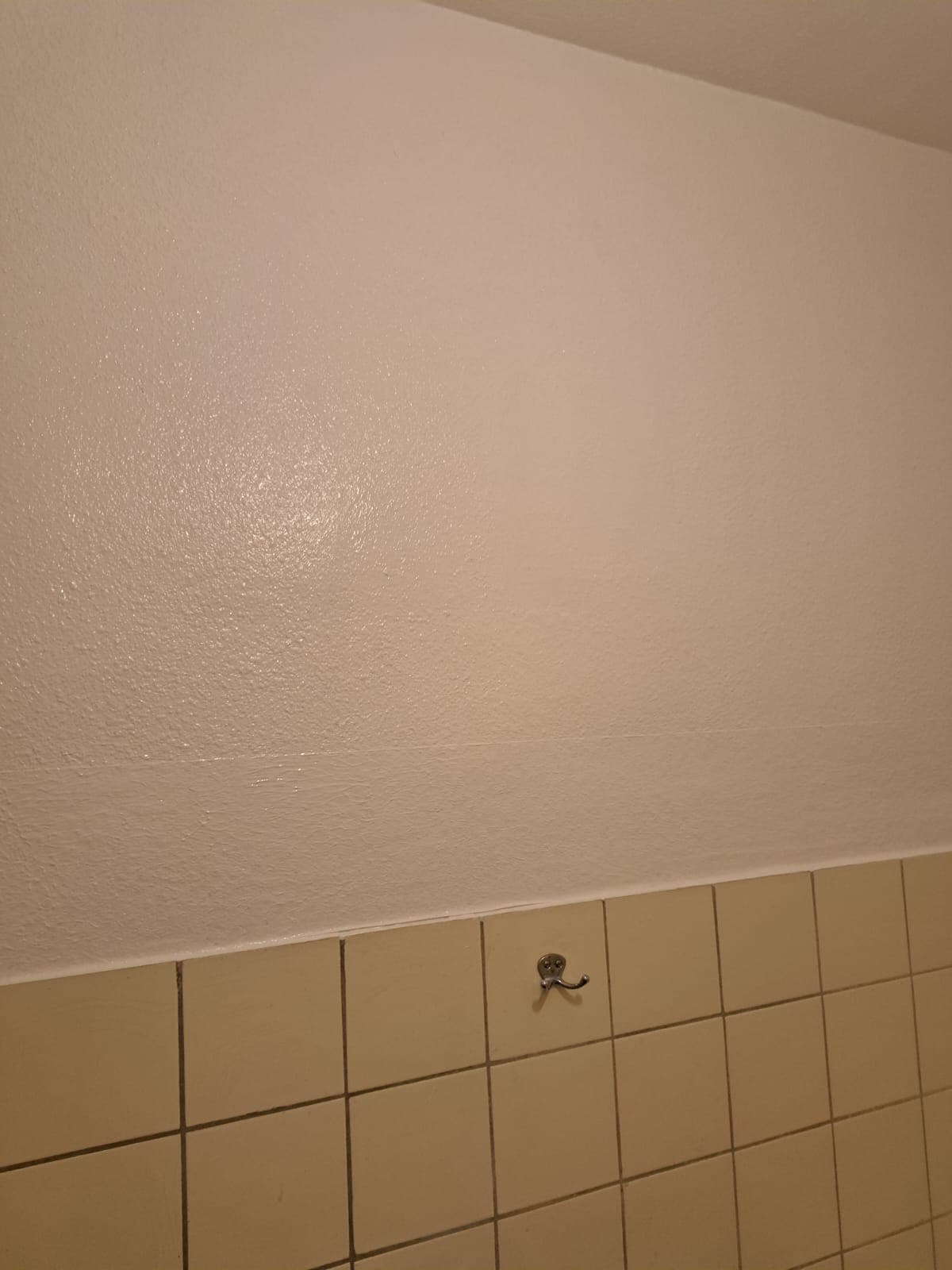 Appartement T2 loué — Hanau WE 17 — photo 10
